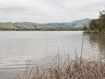 Lake Elizabeth