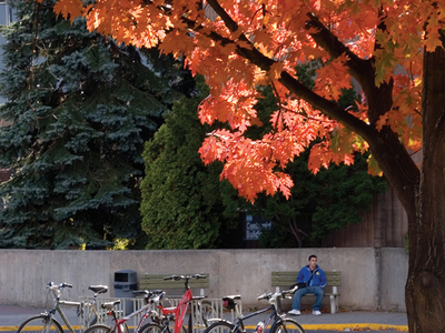 Lakehead University