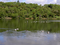 Lake Ralphine