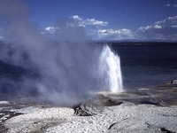 Lakeshore Geyser