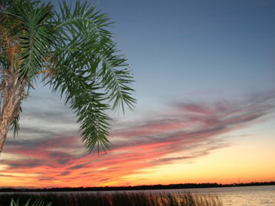 Lake Tarpon