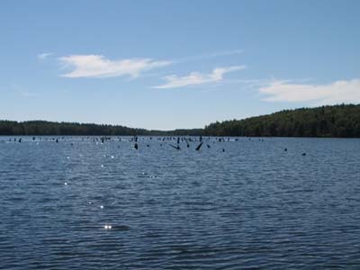 Lake Winchester