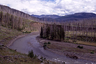 Lamar River