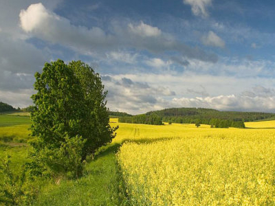 Landscape Park Góry Opawskie