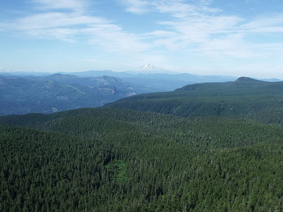 Larch Mountain
