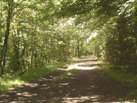 Larkin State Park Trail