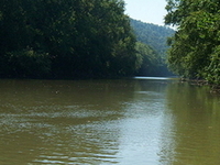Levisa Fork