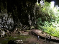 Liang Bua