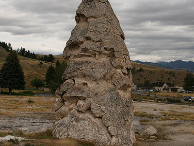Liberty Cap