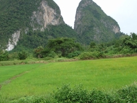Perlis