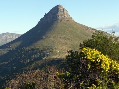 Lions Head