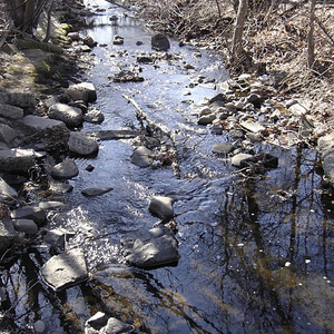 Little Diamond Brook