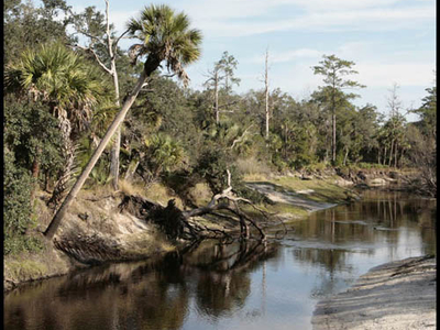 Little Econlockhatchee River