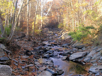 Little Falls Branch