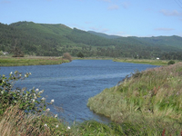 Little Nestucca River Little Nestucca River