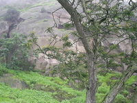Lima Region Lima Region