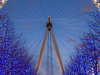 London Eye London Eye
