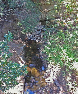 Los Trancos Creek