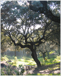 Los Villares Periurban Country Park Los Villares Periurban Country Park