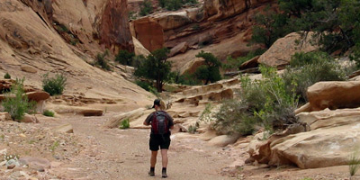 Lower Muley Twist Canyon Hike Lower Muley Twist Canyon Hike