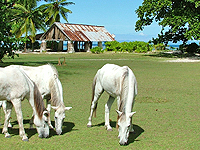 L'Union Estate