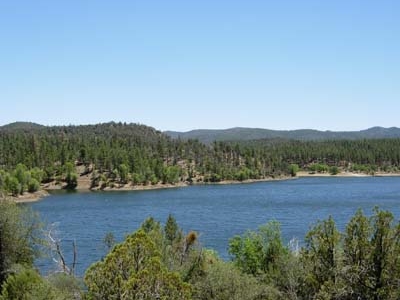 Lynx Lake