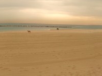 La Barceloneta