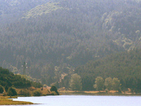 Sila National Park Sila National Park