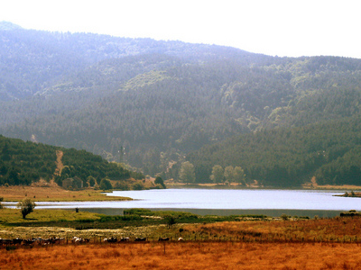 Sila National Park
