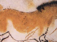 Lascaux Caves Lascaux Caves