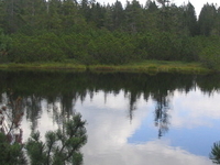 Latschensee Latschensee