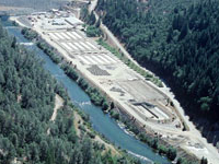 Lewiston Dam