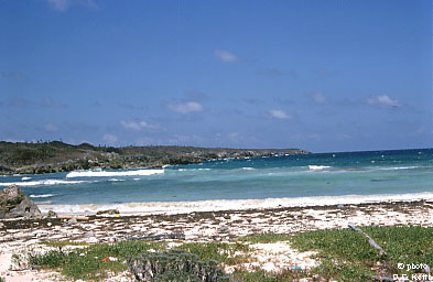 Great Swan Island