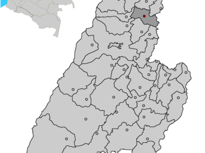 Venadillo