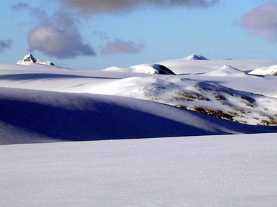 Breheimen