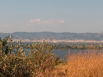 Lysimachia Lake