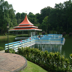 MacRitchie Forest Trails