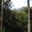 Mae Tho National Park [Posted By - David Urmann]