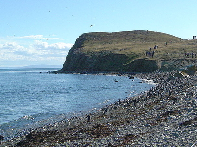 Magdalena Island