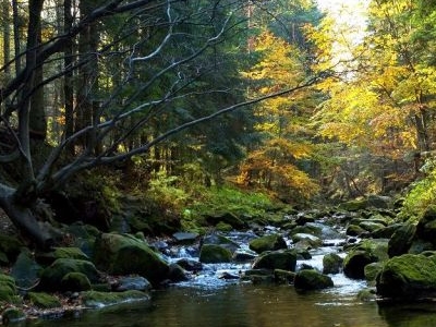Magurski National Park Magurski National Park