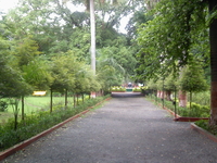 Maharajbagh zoo Maharajbagh zoo