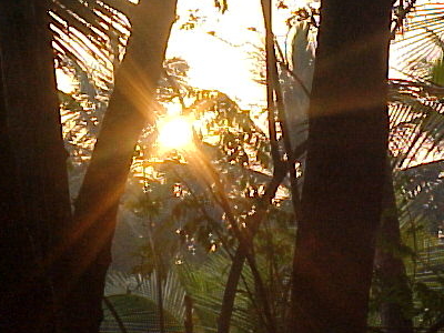 Mahe