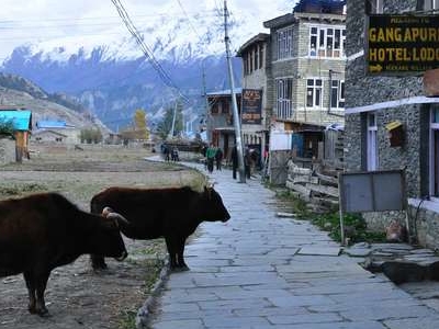 Manang