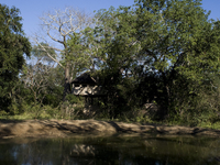 Majete Game Reserve
