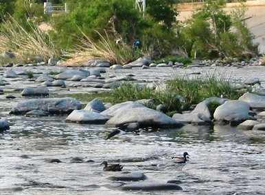 Los Angeles River
