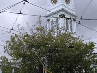 Stonnington City Centre Stonnington City Centre