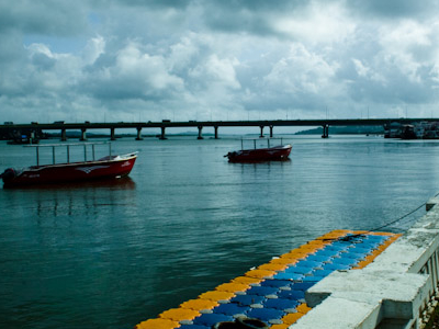 Mandovi River