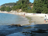 marin