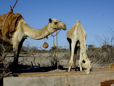 Marsabit Town