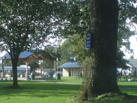 Marysville